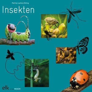 Coverabbildung Insekten – Magazin